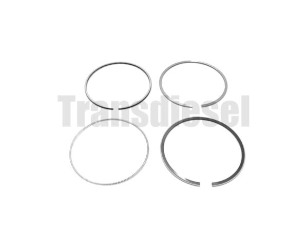1C011-2105-2 Assy Piston Ring