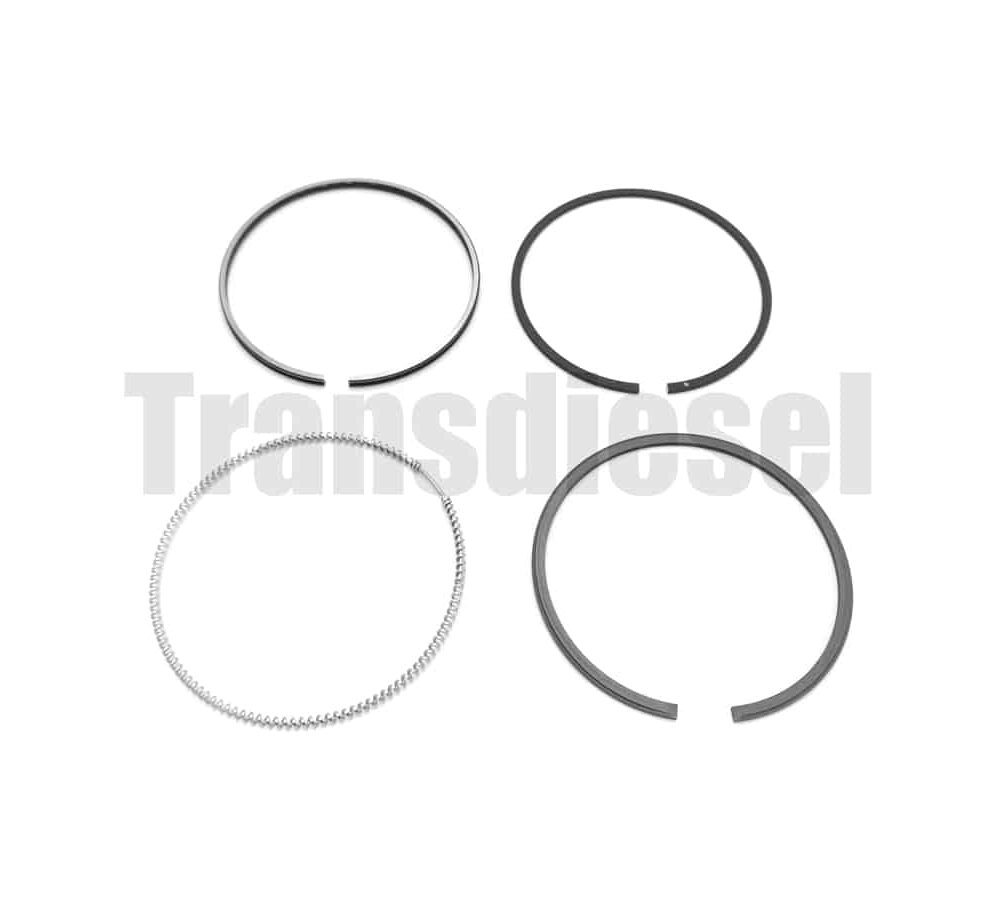 1G790-2105-3 Assy Ring Piston