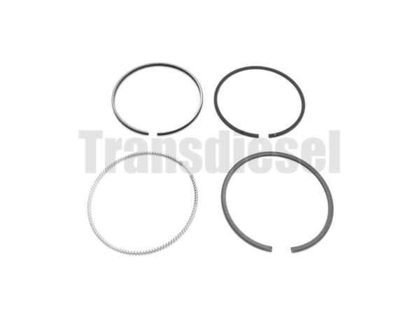 1G790-2105-3 Assy Ring Piston