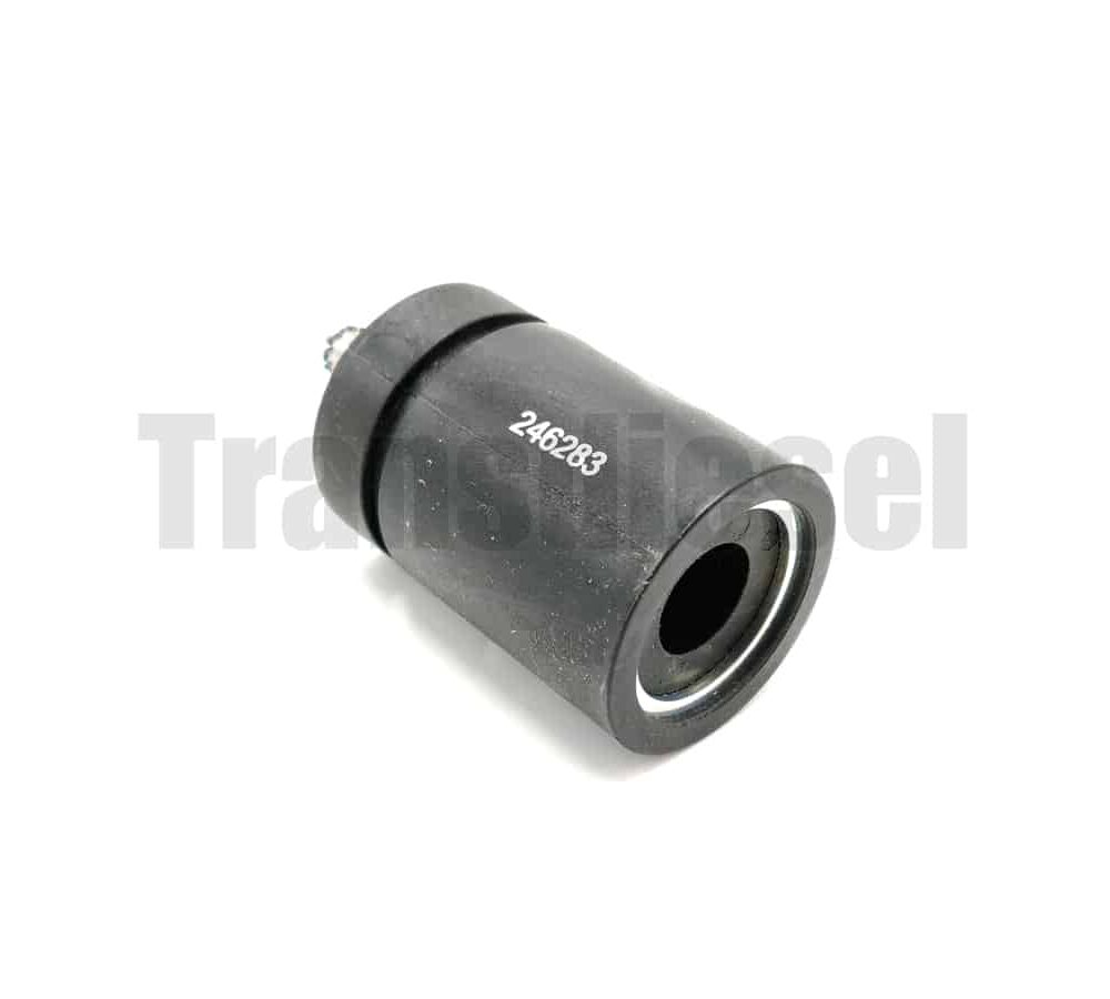 246283 Coil