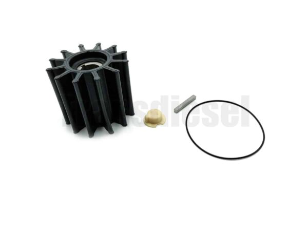 RE49896 Impeller Kit