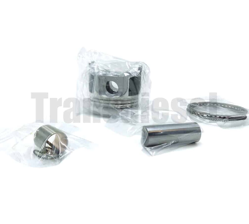 1G069-2179-5 Kit Piston (050)