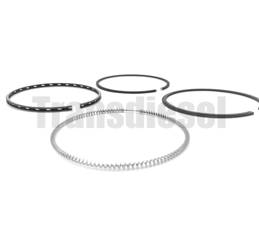 1G790-2105-3 Assy Ring Piston