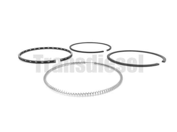 1G790-2105-3 Assy Ring Piston