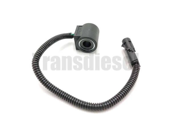 246291 Coil