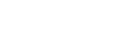 logo transdiesel blanco